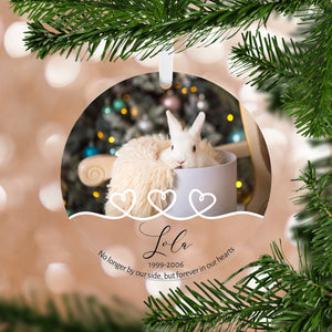 Pet Photo Memorial Ornament